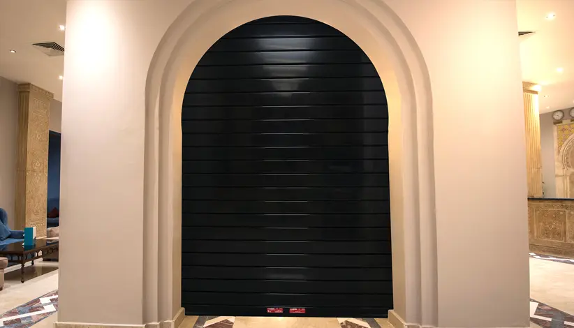 Clopay entrydefender door large