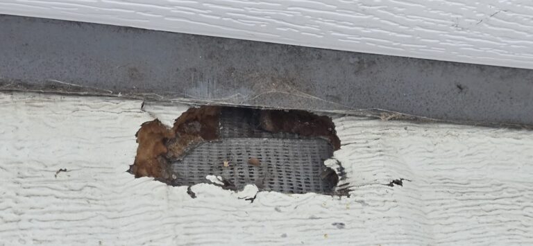 Spring repair in Columbia Township, OH, photo 2